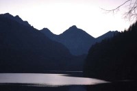 Softshell Jacken online kaufen